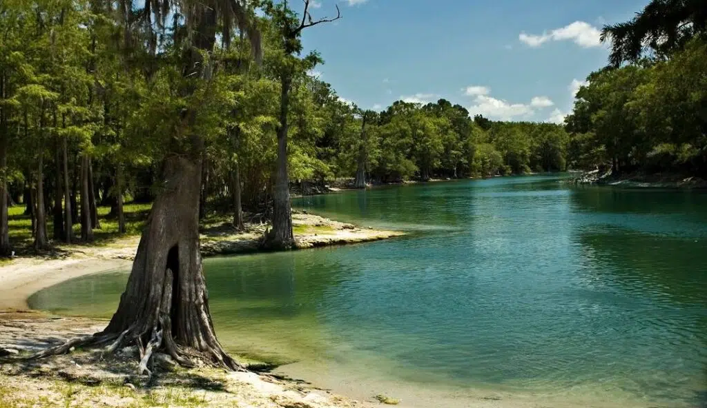 Suwannee River, Florida