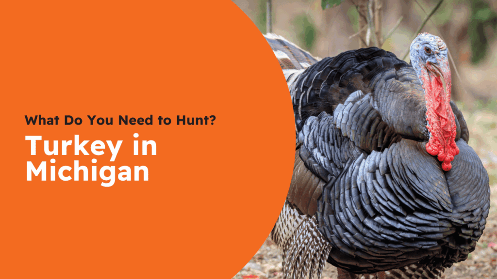 Michigan Turkey License