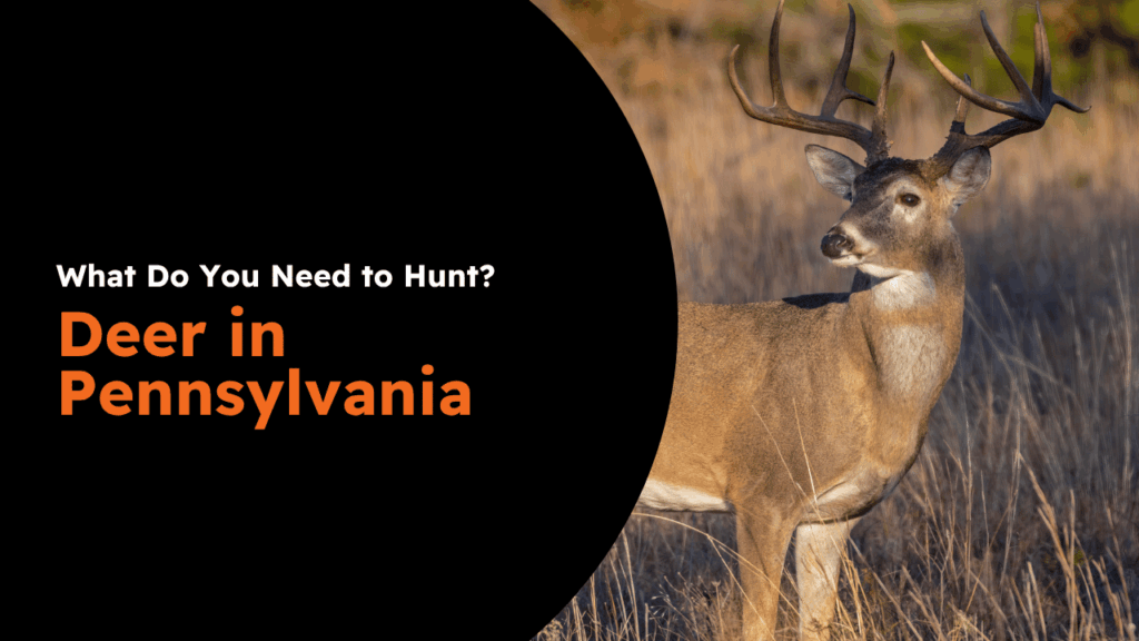 Pennsylvania Deer License