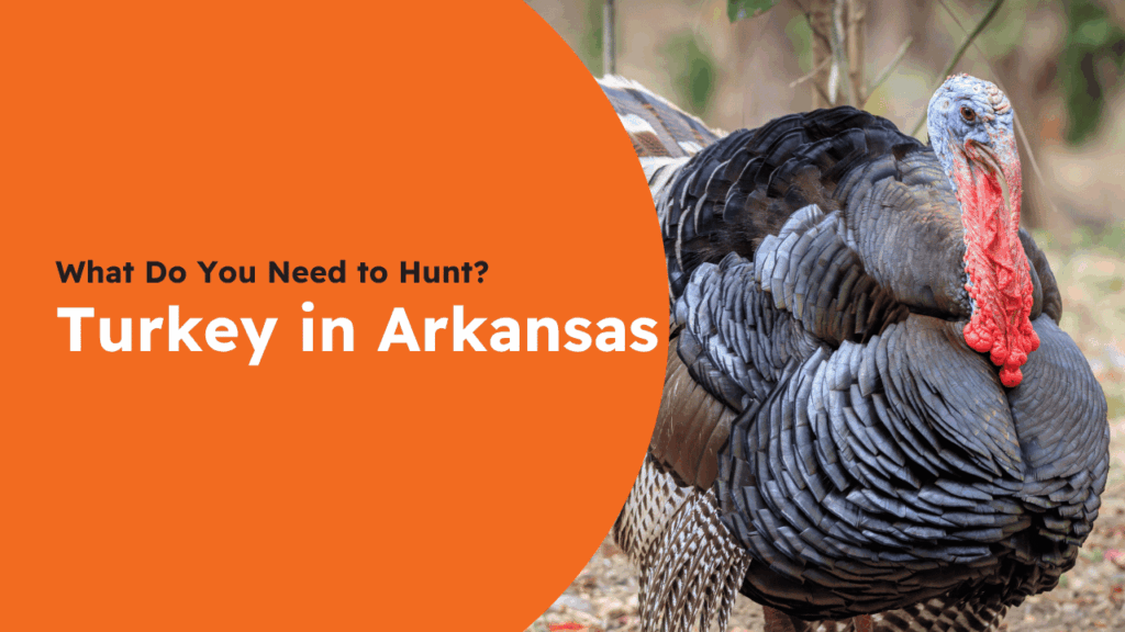 Arkansas Turkey License