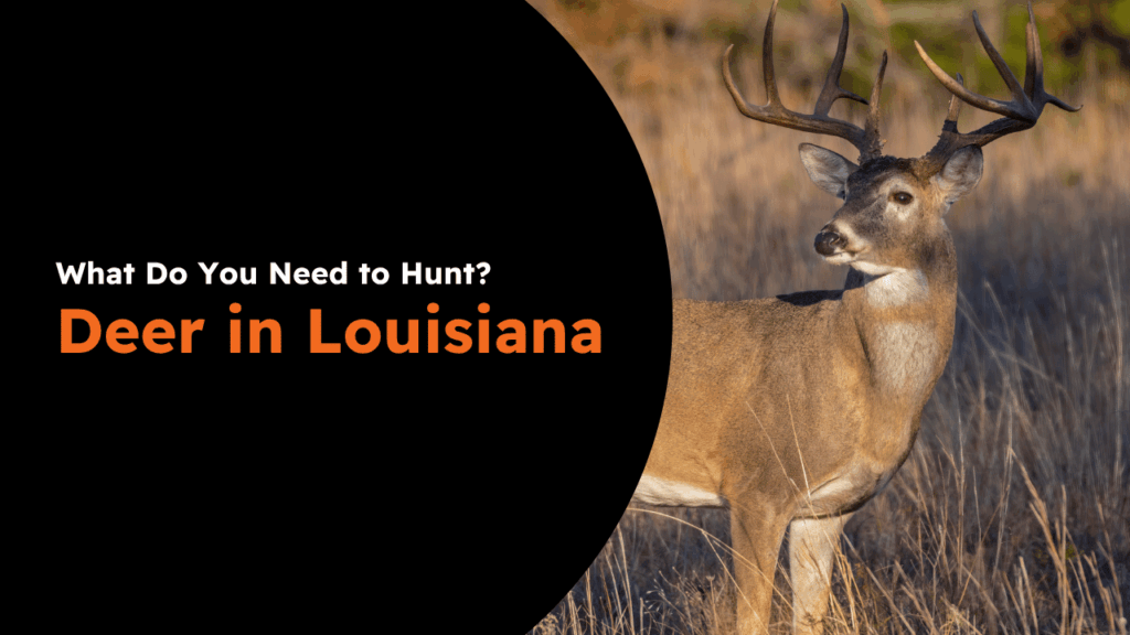 Louisiana Deer License