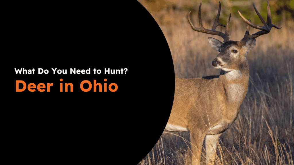 Ohio Deer License