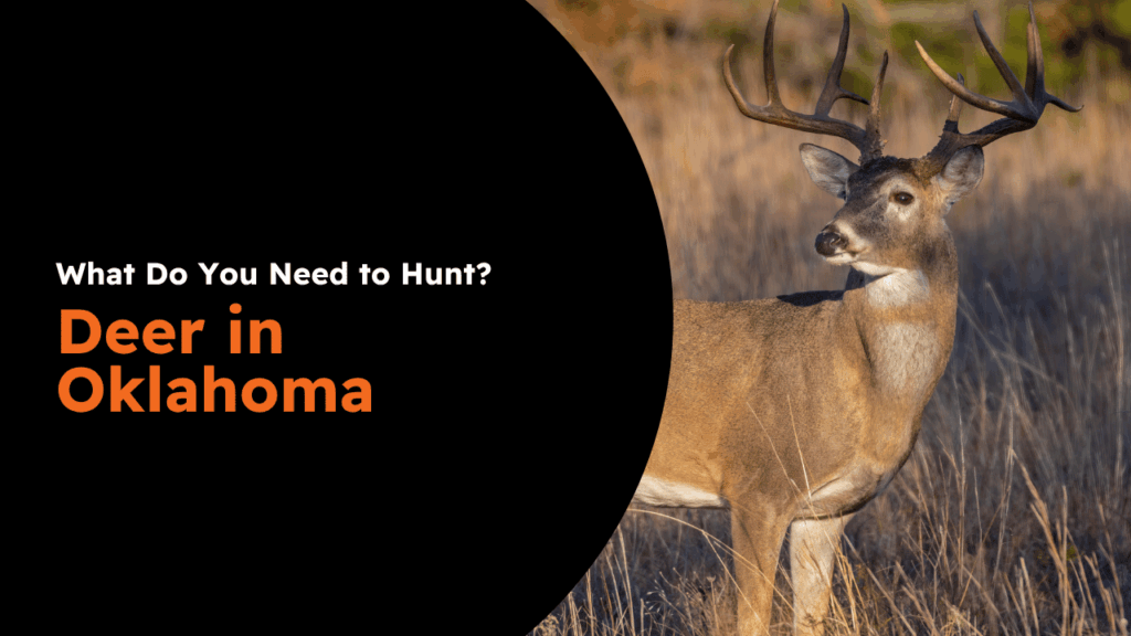 Oklahoma Deer License