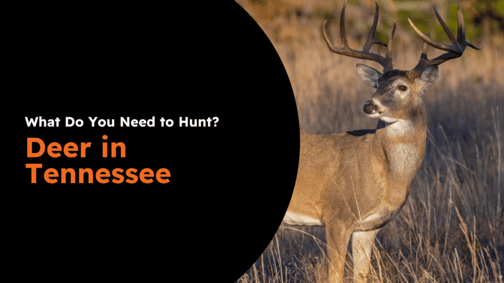 Tennessee Deer License